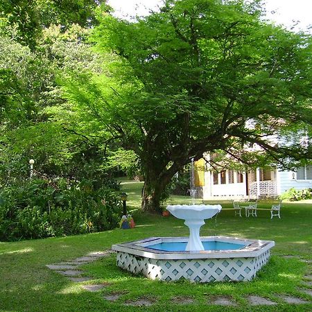 Park Eden Bed & Breakfast Los Llanitos Kültér fotó
