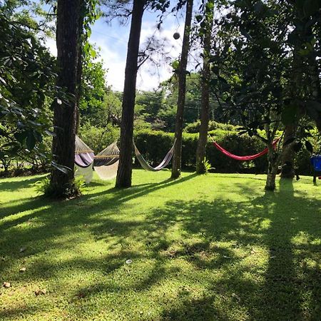 Park Eden Bed & Breakfast Los Llanitos Kültér fotó
