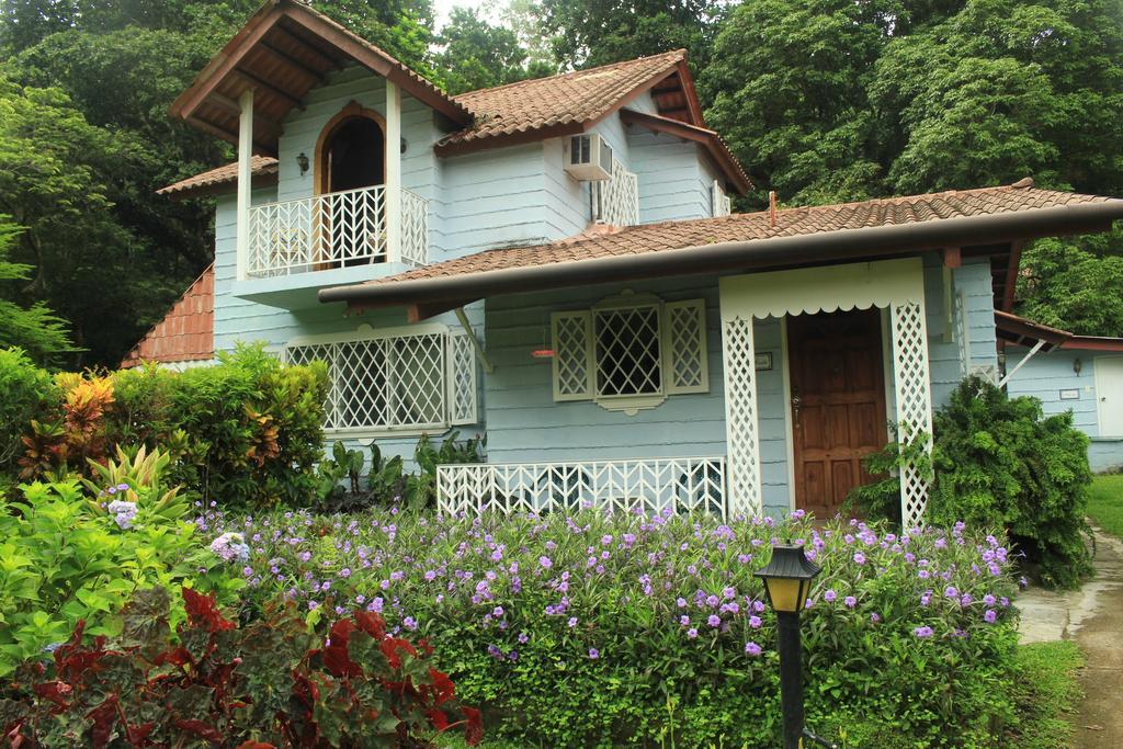 Park Eden Bed & Breakfast Los Llanitos Szoba fotó