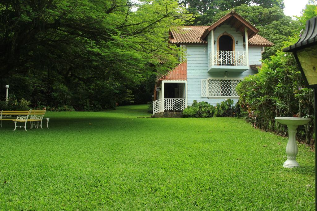 Park Eden Bed & Breakfast Los Llanitos Szoba fotó
