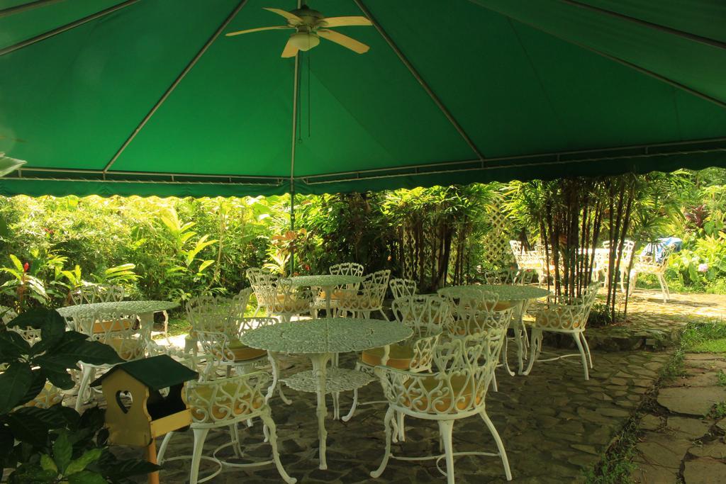Park Eden Bed & Breakfast Los Llanitos Kültér fotó