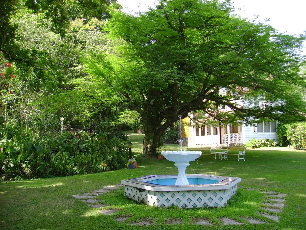 Park Eden Bed & Breakfast Los Llanitos Kültér fotó